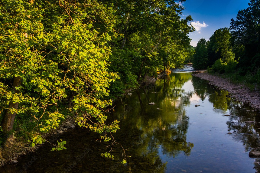 Potomac River Pictures (1)