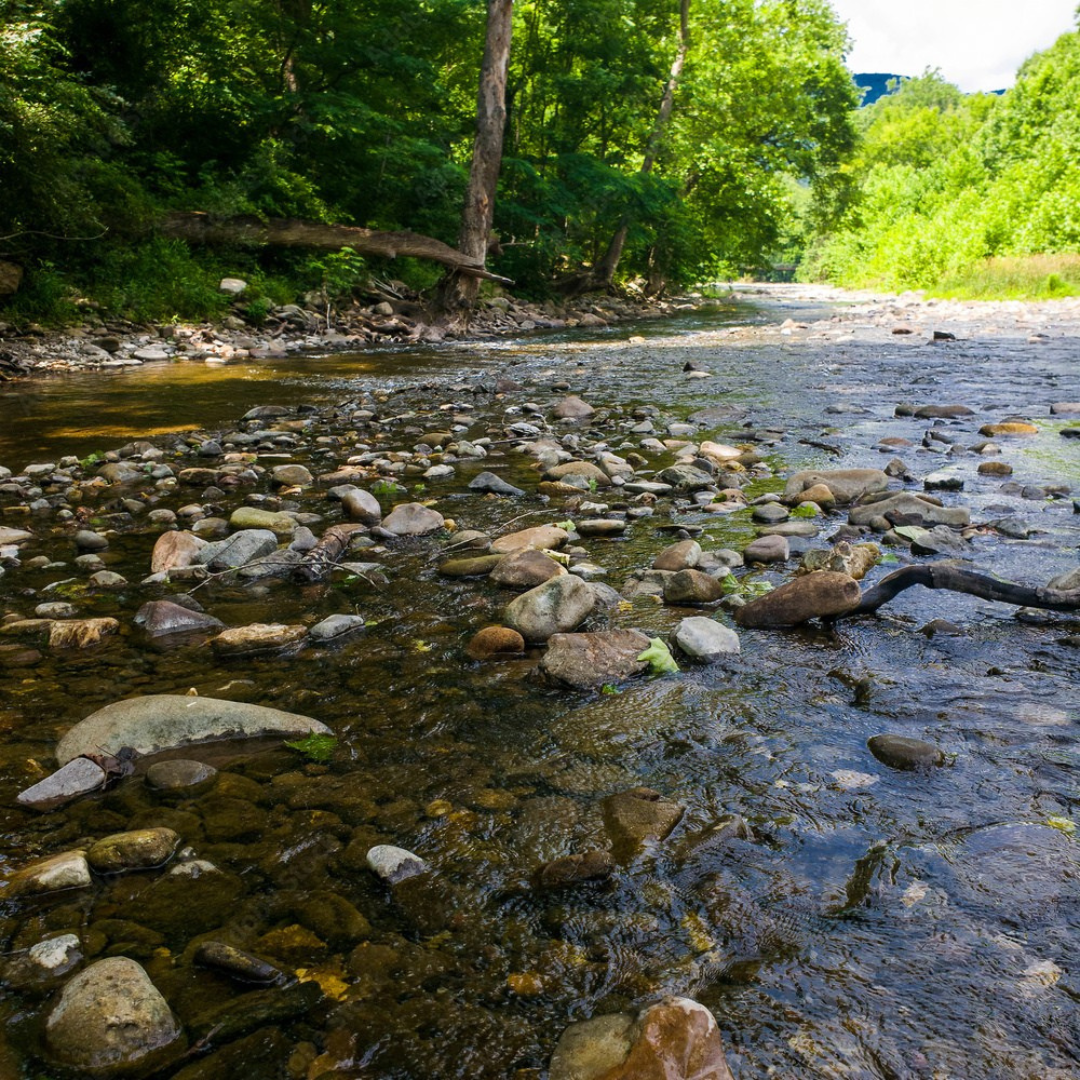 Potomac River Pictures (3)